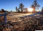 Frosty sunrise