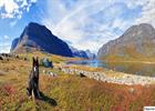 Dog enjoying the autumn