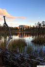 Old landscape in Laponia World Heritage