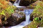 Beautiful autumn creek