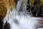 Icicles over creek