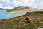 Looking out over the landscape