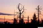 Nightfall in Swedish Lapland no. 2