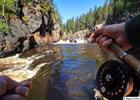 Fly fishing in the canyon