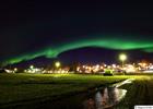 Northern Lights over a park