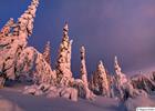 Snow-covered landscape