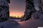 Magic winter morning in Lapland