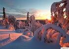 Winter sun in Lapland