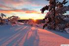 Shadows in the snow