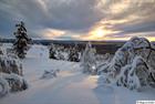 Winter landscape