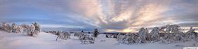 Winter landscape in dormancy