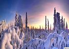Frosty winter landscape