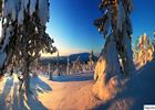Heavy snow in Swedish Lapland