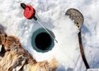 Ice fishing